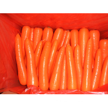 New Crop Wholesale Fresh Carrot (80-150g)